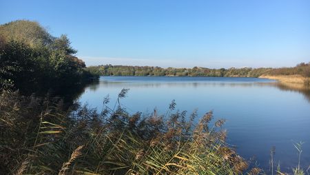 Nössekuhle in Morsum