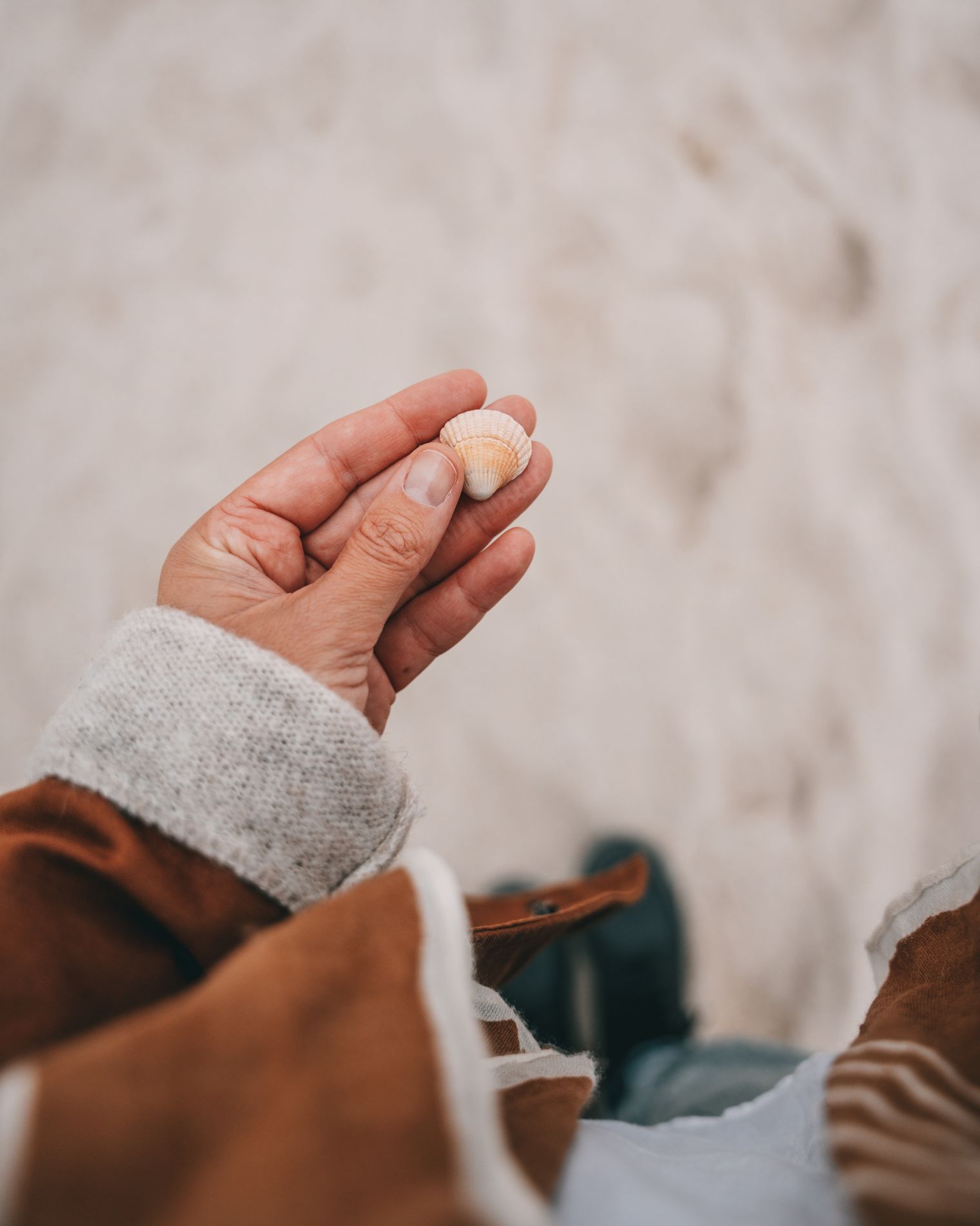 Hand hält eine kleine Muschel am Strand von Sylt, getragen von einer Person in einem braunen Mantel mit hellen Details. Unscharfer Sandboden im Hintergrund.