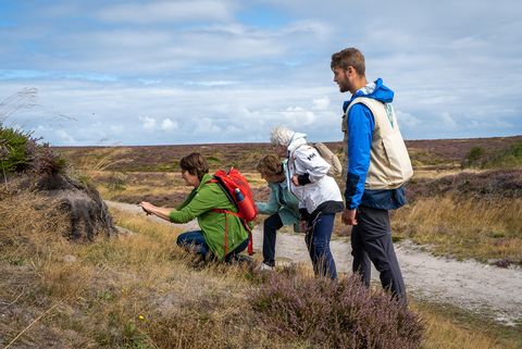 Drei Teilnehmerinnen und ein Wanderführer bei der Heidewanderung in der Braderuper Heide