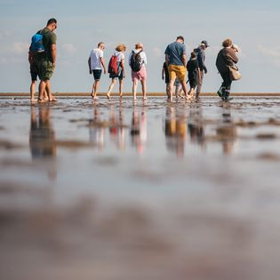 Gruppe von Wanderern geht barfuß durch das Watt, mit Rucksäcken und Sommerkleidung.