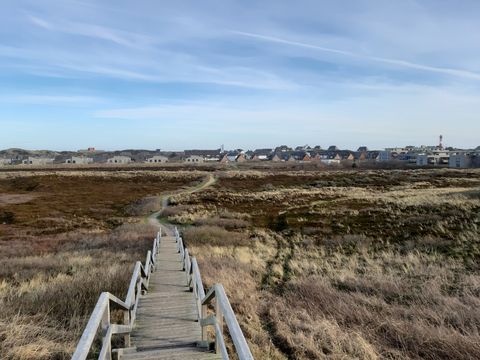 Entdecke die Hundestrände auf Sylt