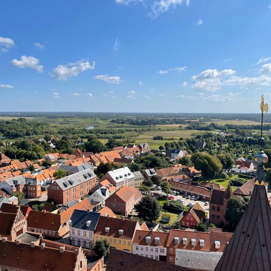 Blick auf Ribe von oben