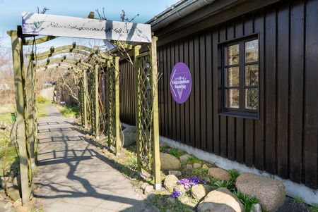 Vor dem Eingang des Naturzentrums Braderup blühen rote Rosen im Sommer