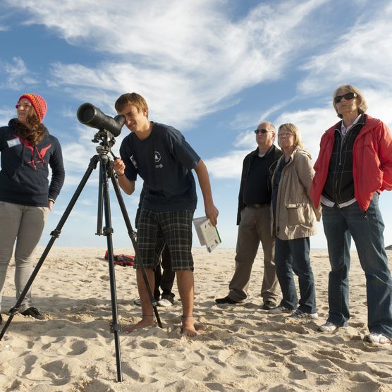 Ornithologische Führung am Sylter Strand