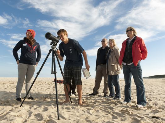 Ornithologische Führung am Sylter Strand