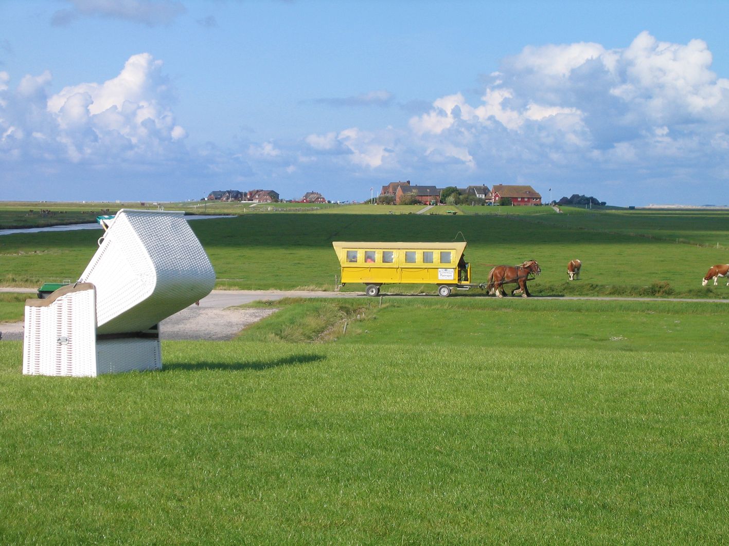 Kutsche auf der Hallig Hooge