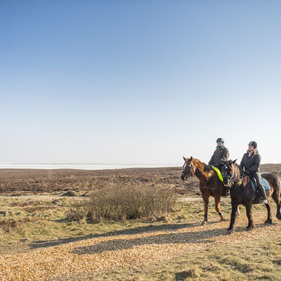 Zwei Reiterinnen mit ihren Pferden in der Braderuper Heide im Winter