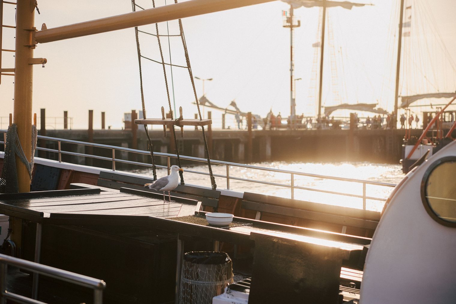 Eine Möwe steht auf einem Tisch an Bord eines Schiffes im Hafen von List, mit dem Kai und einem sanften Sonnenuntergang im Hintergrund.