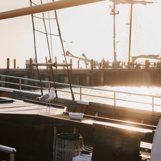 Eine Möwe steht auf einem Tisch an Bord eines Schiffes im Hafen von List, mit dem Kai und einem sanften Sonnenuntergang im Hintergrund.