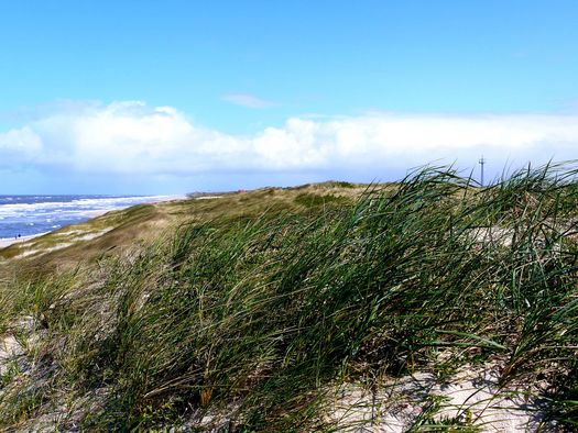 Hörnum Natur Pur: Abenteuer in Sylts Landschaften