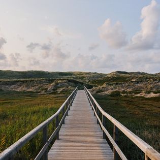 Ein Holzsteg mit Geländern führt geradewegs durch die grüne Dünenlandschaft, unter einem sanft bewölkten Himmel. 