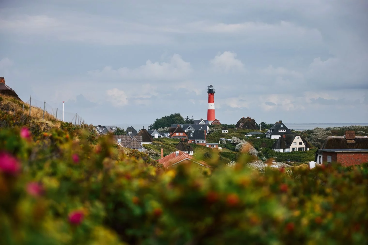 Küstenlandschaft mit Reetdachhäusern und einem rot-weiß gestreiften Leuchtturm in der Mitte, umgeben von grüner Vegetation und blühenden Heckenrosen unter einem bewölkten Himmel. 