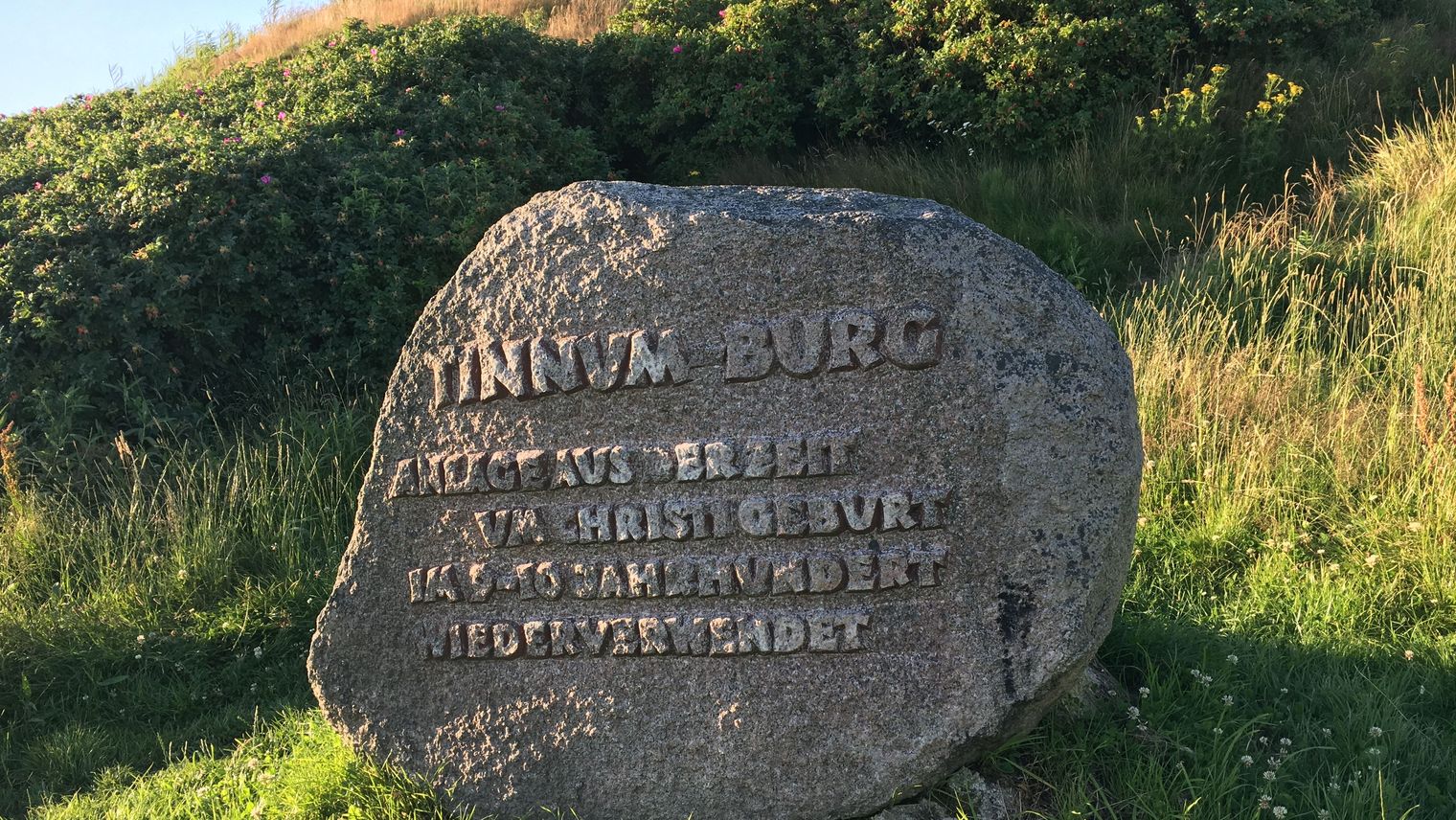 Gedenkstein der Tinnumburg, umgeben von grüner Vegetation und Sonnenlicht.