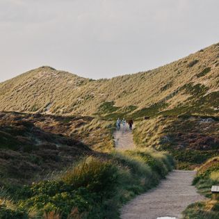 Sandiger Pfad durch grüne Dünenlandschaft mit vier Personen beim Spaziergang.