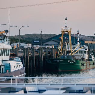 Fischerboote und Hafenanlagen bei Sonnenuntergang, grünes Boot mit der Aufschrift "H0071" im Vordergrund.