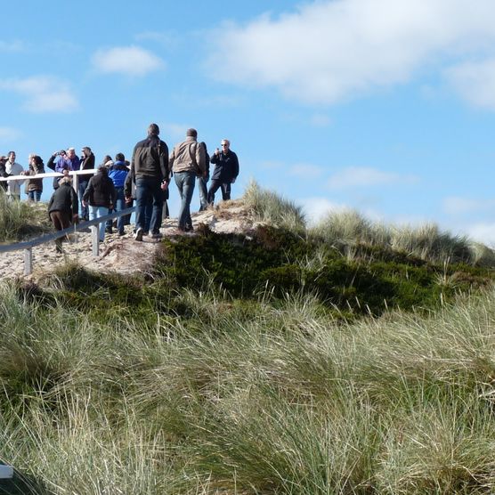 Dünenführung vom Erlebniszentrum Naturgewalten in List