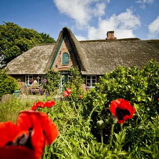 Traditionelles Reetdachhaus mit roten Mohnblumen und grünem Garten unter blauem Himmel.