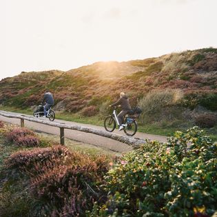 Zwei Radfahrer fahren auf einem Weg durch die hügelige Dünenlandschaft, umgeben von Heide und Gras. 