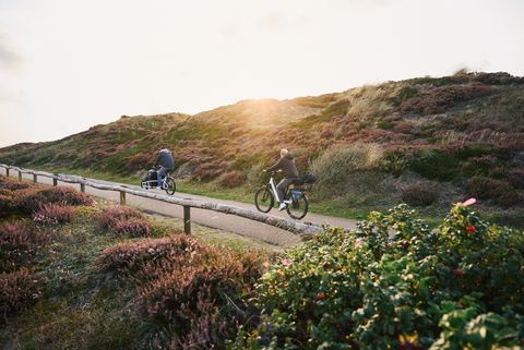 Zwei Radfahrer fahren auf einem Weg durch die hügelige Dünenlandschaft, umgeben von Heide und Gras. 