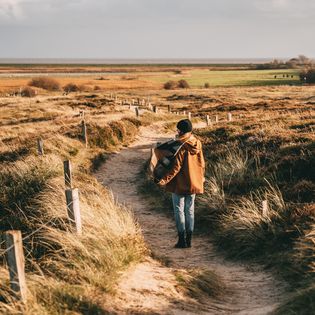 Spaziergang durch die herbstliche Dünenlandschaft am Morsum Kliff mit Blick auf grüne Felder und das Wattenmeer.