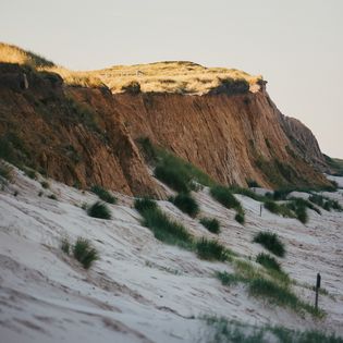 Morsum Kliff mit Sanddünen und Grasbüscheln, beleuchtet von der Abendsonne. 