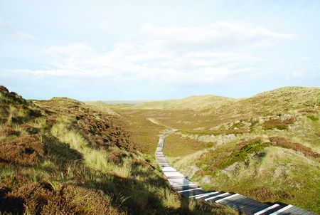 Das Bild zeigt einen typischen Dünenpfad auf der Insel Sylt. Im Vordergrund ist ein Holzsteg zu sehen, der sich schlangenförmig durch eine hügelige Dünenlandschaft schlängelt. Die Dünen sind mit einer Mischung aus Gras und Heidekraut bewachsen, was ihnen eine typisch norddeutsche Optik verleiht.