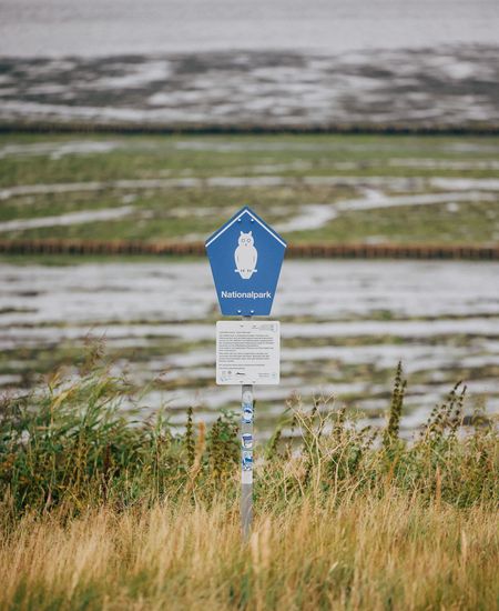 Nationalpark-Schild mit Eulen-Symbol vor dem Wattenmeer und Salzwiesen.