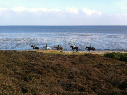 Reiter reiten entlang des Wattenmeeres.